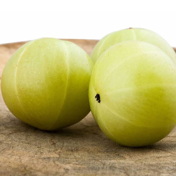 Amla Pickle - Image 5